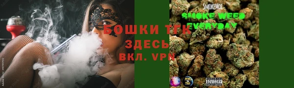 трава Осинники
