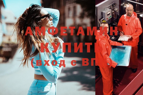 трава Осинники