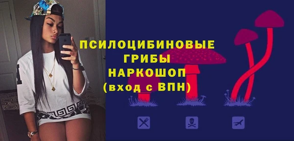 ALPHA PVP Остров