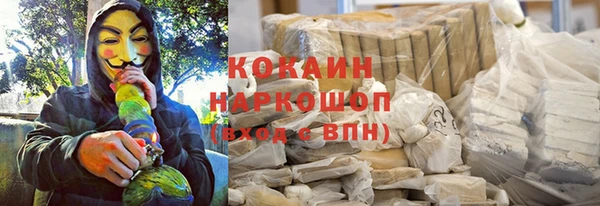 трава Осинники