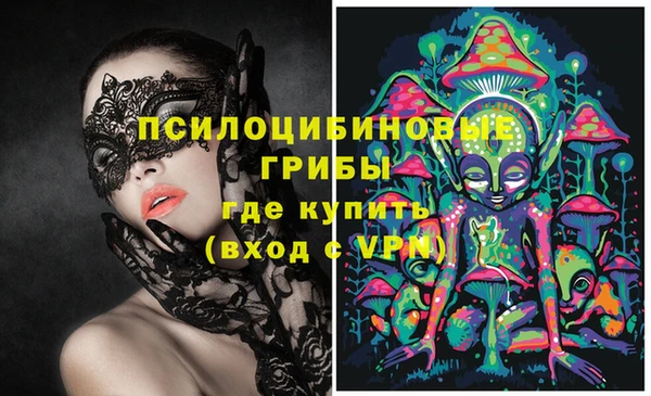 трава Осинники