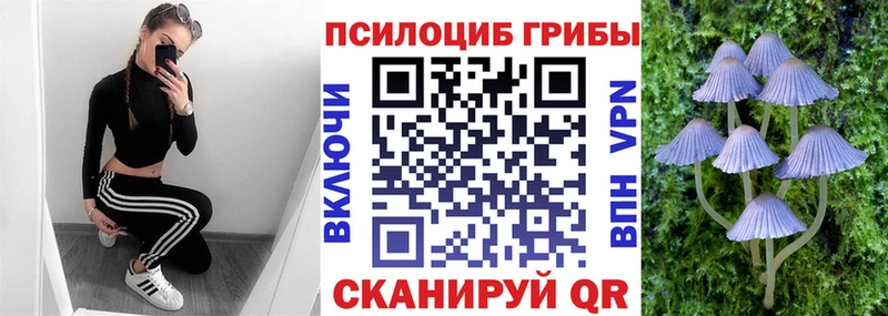 Галлюциногенные грибы Psilocybe  omg зеркало  Устюжна 