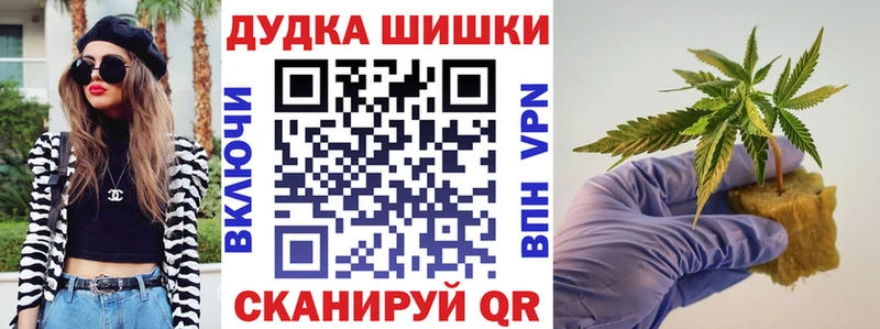Бошки Шишки Amnesia  Устюжна 